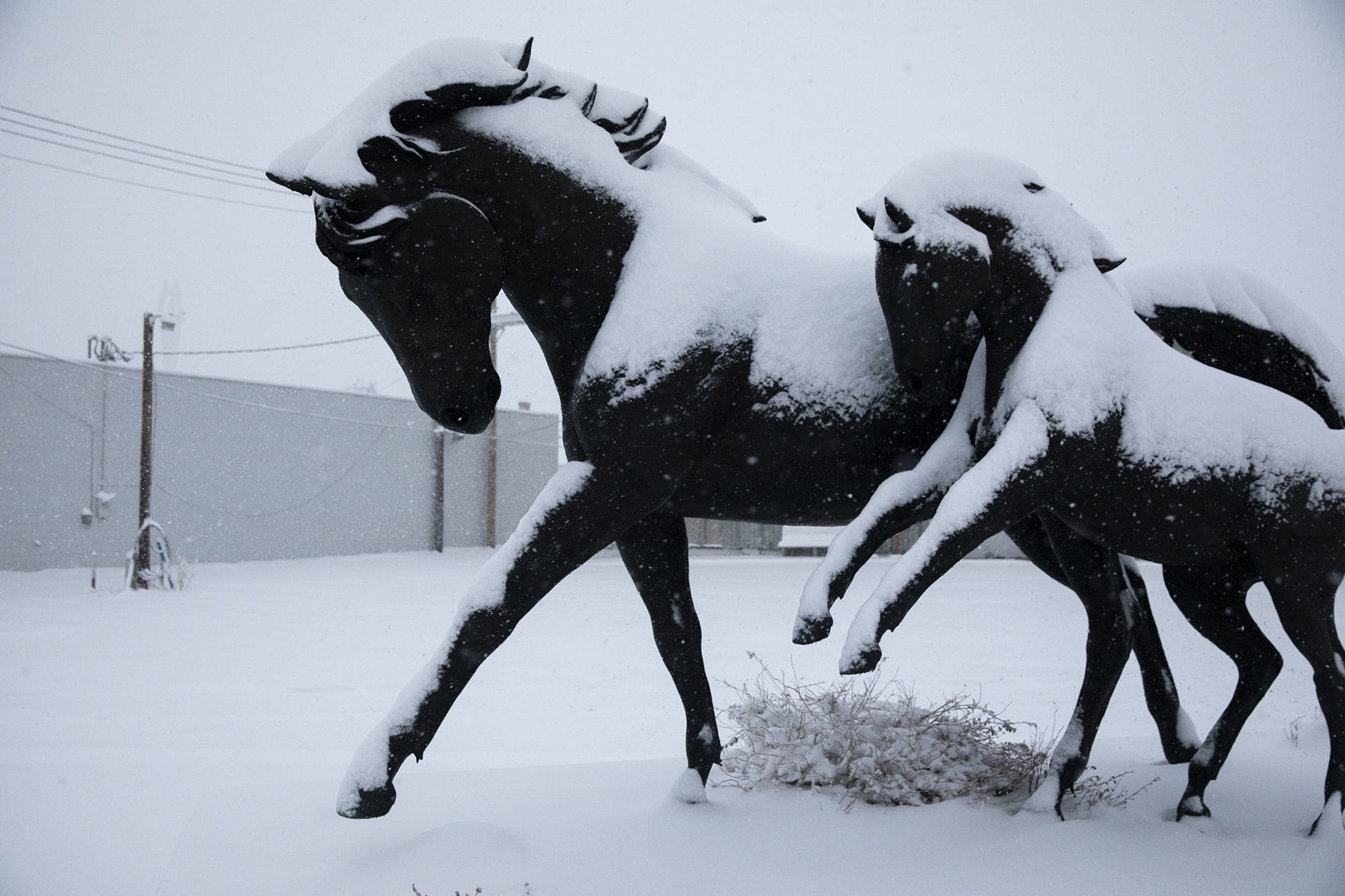 Snow